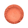 Mini blush coral pink