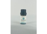 Healing Energy Essential Oil - Soul Connection - N 3